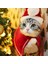 Pelerin Tarzı Pet Noel Giysileri Köpek Kedi Noel Noel Baba Cosplay Kostüm Festivali Sevimli Şapka Önlük Kedi Headdress Boynuz Headgear (Yurt Dışından) 4