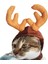 Pelerin Tarzı Pet Noel Giysileri Köpek Kedi Noel Noel Baba Cosplay Kostüm Festivali Sevimli Şapka Önlük Kedi Headdress Boynuz Headgear (Yurt Dışından) 5