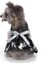 NO.125 Tarzı M Beden Komik Cadılar Bayramı Pet Kedi Küçük Köpek Giyim Için Elbiseler Cosplay Kedi Kostüm Noel Giydirme Etek Köpek Elbise Köpek Yavrusu Chihuahua (Yurt Dışından) 3