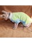 Yeşil Stil Xl Beden Sfenks Tüysüz Kedi Giysileri Devin Kedi Kışlık Giysiler %100 Pamuklu Yumuşak Kazak Kışlık Kazak (Yurt Dışından) 4