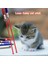 Rastgele Stil Pet LED Lazer Kedi Oyuncak Red Dot Lazer Işığı Pointer Lazer Kalem Etkileşimli Oyuncak Kedi Sopa Kedi Oyuncakları Tease Kedi Çubuklar Kedi Aksesuarları (Yurt Dışından) 3