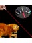 Rastgele Stil Pet LED Lazer Kedi Oyuncak Red Dot Lazer Işığı Pointer Lazer Kalem Etkileşimli Oyuncak Kedi Sopa Kedi Oyuncakları Tease Kedi Çubuklar Kedi Aksesuarları (Yurt Dışından) 5