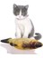 Saury Oyuncak Stili 20CM Fermuar Yok 1 Adet Catnip Balık Peluş Kedi Oyuncak Balık Pamuk Cusion Catew Varış Için Funpillow Pet Oyuncak (Yurt Dışından) 3