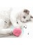 Pembe Tarzı Gerçekçi Hayvan Cıvıl Cıvıl Sesler Kürklü Top Kedi Yavru Oyuncak Ponpon Peluş Top Etkileşimli Kicker Isırmaya Dayanıklı Kitty Molar Oyuncaklar (Yurt Dışından) 2