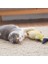 Palyaço Balığı Tarzı 20 Santimetre Yeni Kedi Oyuncak Simülasyon Balık Kedi Nane Peluş Oyuncak Komik Kedi Oyuncak Pet Molar Isırık Oyuncak Çim Sazanı Bebek Yastığı (Yurt Dışından) 3