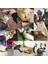No.1 Tarzı M Kedi Sallanan Catnip Oyuncak USB Şarj Simülasyon Elektronik Pet Kedi Oyuncak Dans Hareketli Disket Komik Balık Kediler Oyuncak (Yurt Dışından) 3