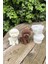 Poodle Köpek Mum Kalıbı (Silikon) (1 Adet) 5