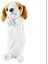 Peluş Köpek Kalem Kutusu (Yurt Dışından) Kalem Kutusu (Yurt Dışından) 1