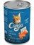 Cango Yetişkin Kedi Yaş Maması Somonlu 415 gr 1