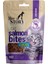 Biyotin Malt Paste 100 ml Multivitamin Malt Cat Salmon Bites 2 x 60 gr Taneli Somonlu Kedi Ödülü 3