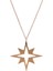 Pırlanta Taş Detaylı Şık Yıldız Figürü Rose Altın Kolye 4