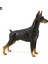 Doberman Pinscher Modeli Bilişsel Yetenek Çapaksız Kokusuz Aksiyon Figürü Oyuncak Doberman Pinscher Çocuklar Için (Yurt Dışından) 2