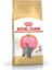 Royal Canin Kitten British Shorthair Yavru Irk Kedi Maması 2 Kg 1