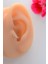 Zirkon Taşlı Halka Tragus Piercing Helix Kıkırdak Forward Helix 3