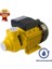 Vp 100 - 1 Hp - 220V Preferikal Sürtme Fanlı Pompa 1