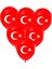 23 Nisan Süsleri 6 Lı Tavan Sarkıt Süs ve Ay Yıldız Baskılı Balon 10 Lu 23 Nisan 29 Ekim Bayram Süsleri 3