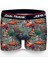 Pınup Erkek Desenli Boxer JFBD338 2