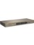 TEG1024F 24PORT 2sfp 10/100/1000 Gıgabıt Swıtch 2