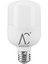30W Torch LED Ampul 6500K (Beyaz Işık) 10 Adet 2