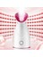 Nano Iyonik Sıcak Mist Yüz Vapur Ev Sauna Spa Yüz Nemlendirici Kadın Erkek Nemlendirici Tıkanıklıkları Açar Gözenekler Spa Abd Plug (Yurt Dışından) 3