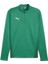 Teamgoal Training 1/4 Zıp Top Erkek Futbol Antrenman Sweatshirts 65862905 Yeşil 1