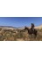 Mount & Blade 2: Bannerlord Ps4 Oyun 3