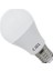 CT-4274 15 Watt LED Ampul Günışığı 1