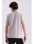 Gri Slim Fit Bisiklet Yaka T-Shirt 4