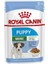 Royal Canin Mini Puppy Yaş Mama Pouch 85gr 1