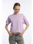 Kadin Oversize Fit Crop Tişört Lila 3