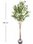 Yapay Zeytin Ağacı 1122 Yaprak Yeşil 180 Cm. 3