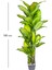 Yapay Ağaç Difenbahya Gerçek Dokulu 47 Yaprak 180 Cm. 3