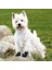 Köpek Yürüyüş Botu 2 Ad. M Siyah 2