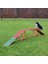 köpek agility köprüsü 456x64x30cm 2
