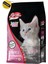 Cat Food Energy Tavuklu Yavru Kedi Maması 1 kg Özel Koli 6 Adet 1