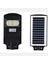 Solar Sokak Panel 100W 1