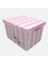 Qutu Style Box Ladie's Secret 1