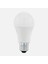 12 W Klasik E27 Duy LED Ampul 1