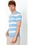 Erkek Fit Rahat Altı Kolları Lastikli Bisiklet Yaka Çizgili T-Shirt 3