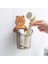 Banyo Ayı Hugs Diş Fırçası Bardağı Diş Macunu Depolama Rafı Banyo Duvara Monte Drenaj Ayı Saklama Kabı Çocuklar Diş Fırçası Tutucu Seti (Yurt Dışından) 4