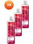 Raspberry Delight Frambuaz ve Frenk Üzümü Kokulu Duş Jeli 250 Üçlü Set 2
