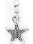 Pudra Renk Yıldız Me Gümüş Charm NUR-BL09765 3
