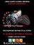 Triumph Street Scrambler Motosiklet Brandası Arka Çanta Uyumlu Branda,örtü 5