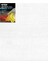 Artists' Tuval 50X60CM - 380GRAM 20'li Paket 1