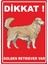 Dikkat Golden Retrıever Var Dijital Uv Folyo Baskı Uyarı Etiket Yapıştırma Sticker 12.5X17.5 cm 1