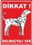 Dikkat Dalmaçyalı Var Dijital Uv Folyo Baskı Uyarı Etiket Yapıştırma Sticker 12.5X17.5 cm 1