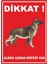 Dikkat Alman Çoban Köpeği Var Pvc Plakalı Uyarı Levhası Dekota Dijital Uv Baskı Yapışkanlı 25X35 cm 1