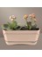 Modern Balkon Saksısı 5 Litre Bej Latte 35CM Tabaklı Delikli Plastik Saksı No1 1