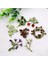 02 Huanzhi Vintage Emaye Yeşil Renk Bitki Inciler Pin Ağacı Lotus Yaprağı Yabanmersini Kiraz Çiçek Bambu Broş Kadınlar Takı Hediye Için (Yurt Dışından) 4
