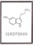 Serotonin Moleküler Yapısı Emaye Pin Dopamin Serotonin Beher Metal Broş Rozetleri Sırt Çantaları Çanta Şapka Üstleri Bilim Takı (Yurt Dışından) 1